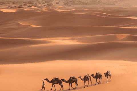 3-Day Atlas to Sahara: The Draa Valley & Zagora Desert Adventure